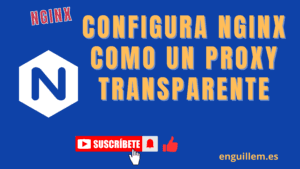 nginx como proxy transparente